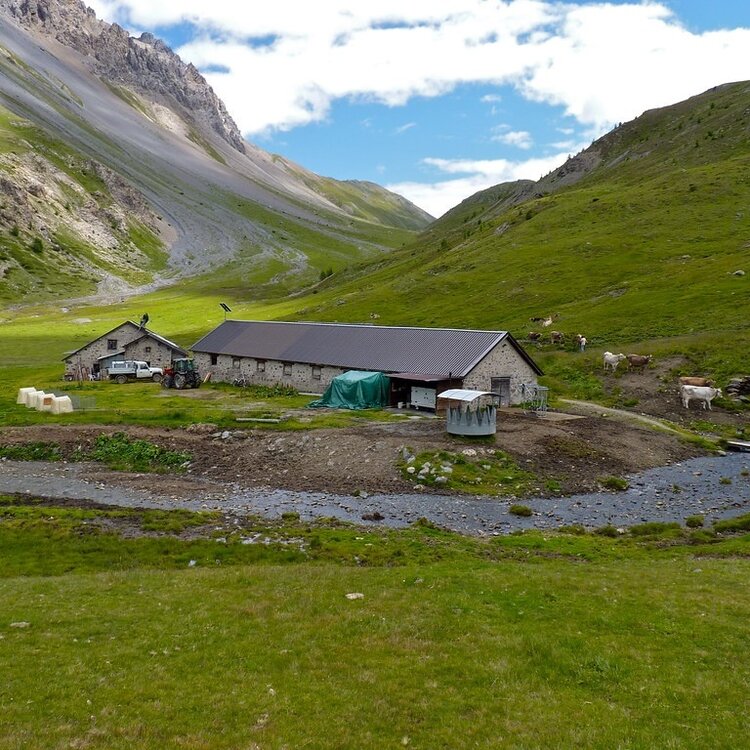 Val Pettini - Malga Trela con joëlette