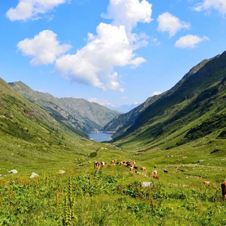 Val Venina alla scoperta dell'antico forno fusorio
