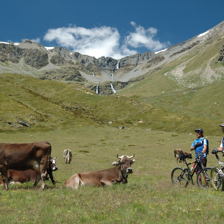 Val Vezzola e Val Trela