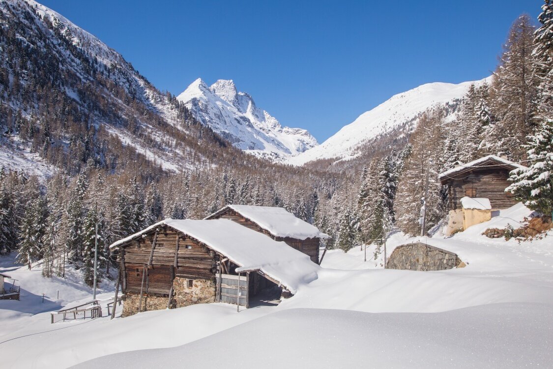 Img2 605477107 Default Variant