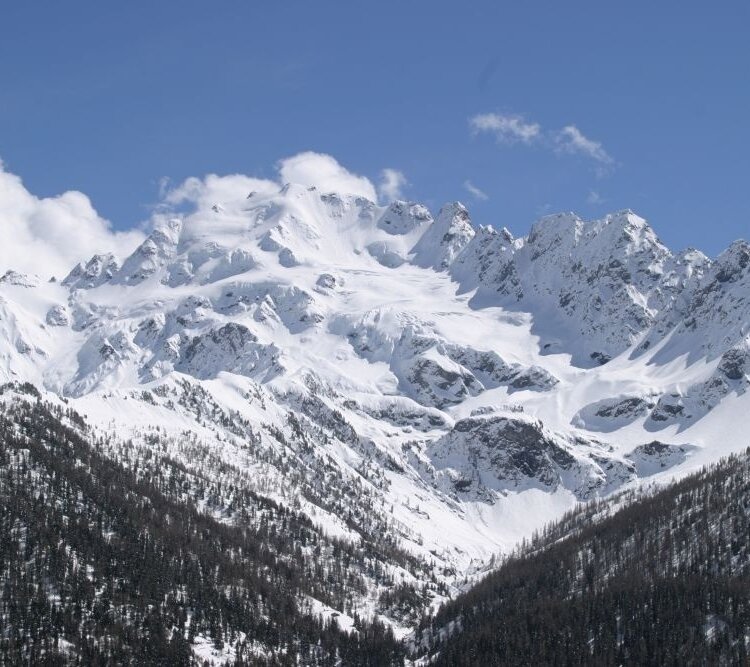 Val Viola, Boschi e ghiacciai