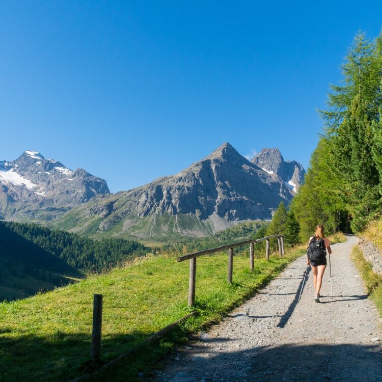 Val Viola - Lago Viola