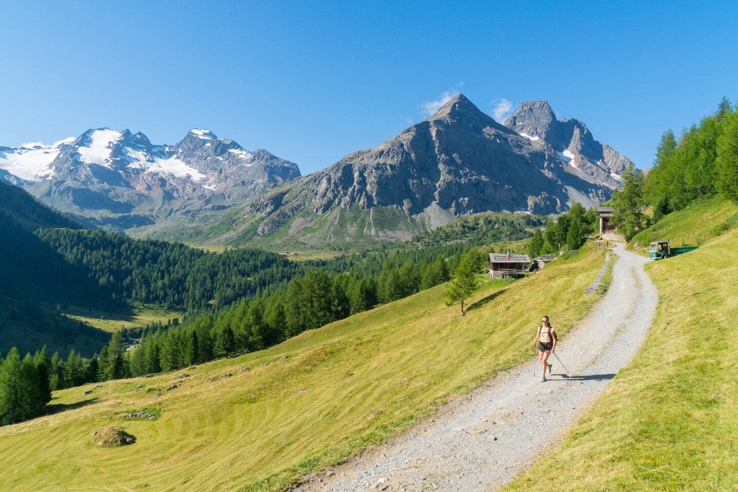 Img2 96830437 Default Variant