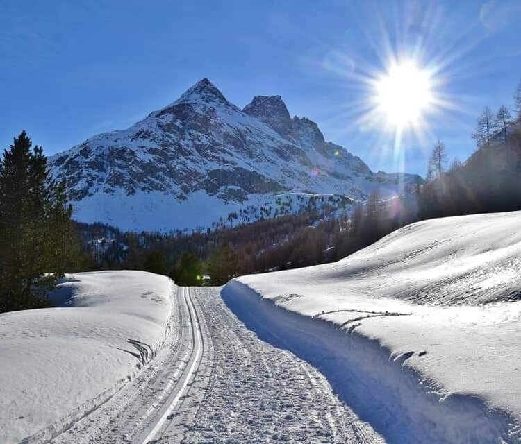 Val Viola Sentiero Basso 804710287