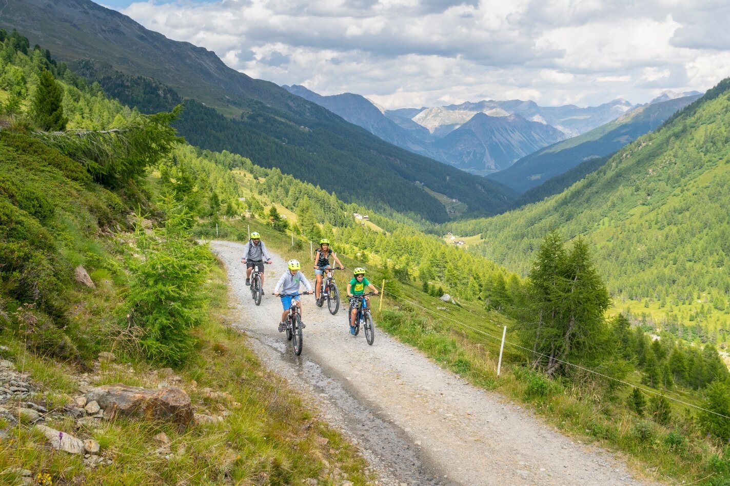 Img2 96834060 Default Variant