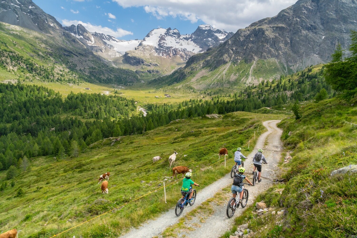 Img2 96834061 Default Variant