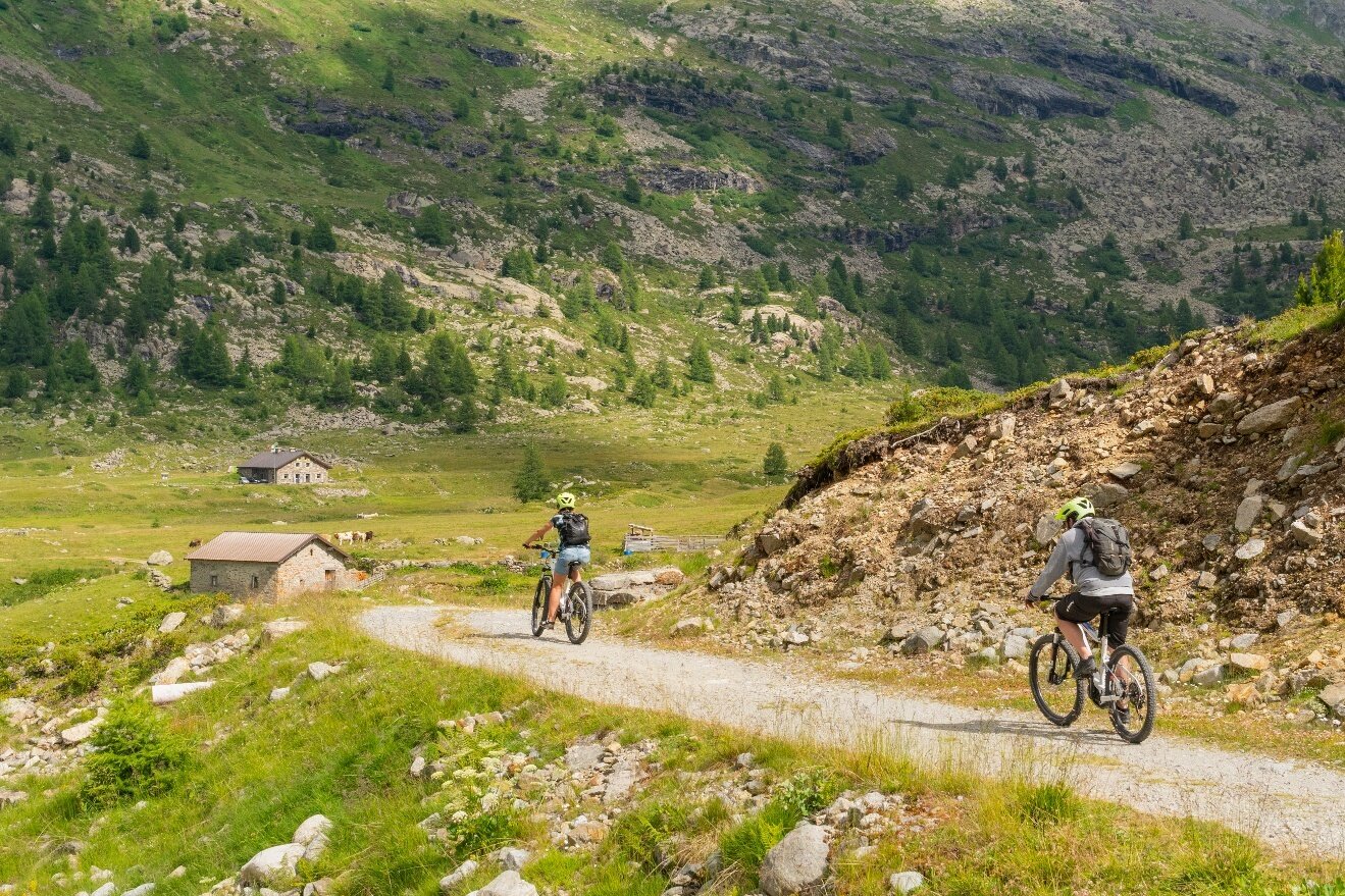 Img2 96834062 Default Variant