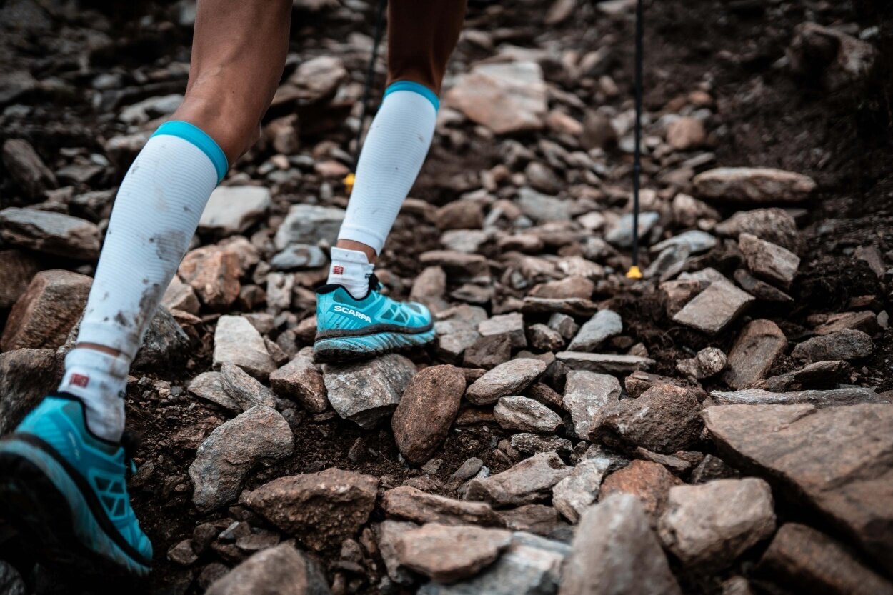 Img2 88711125 Default Variant