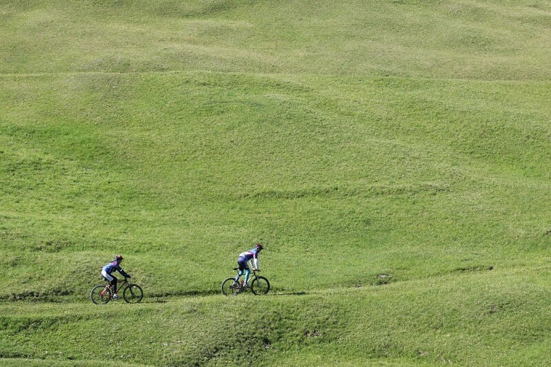 Lush green meadows in the Stelvio National Park