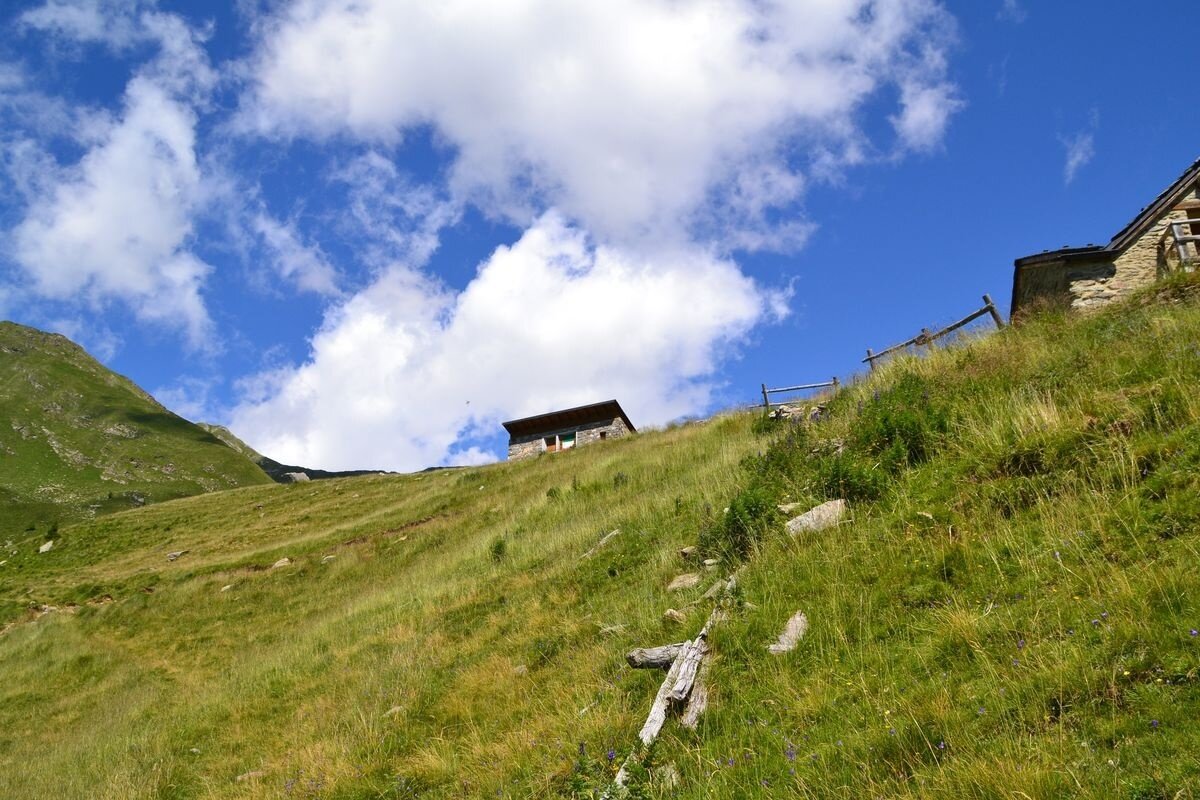 vista Arrivo
