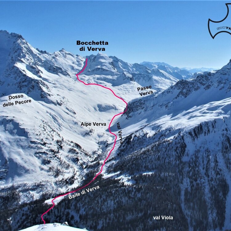 Verva Pass 804595819