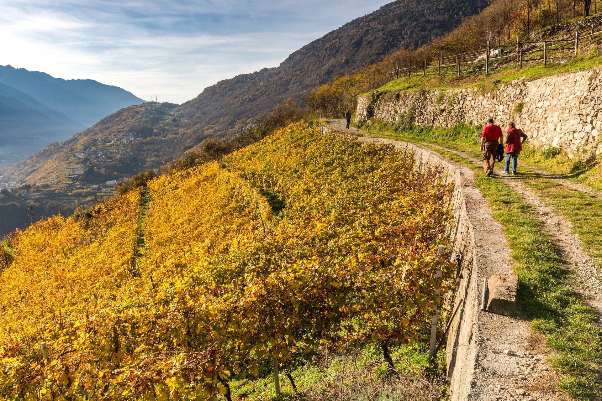 Mountain in Valtellina