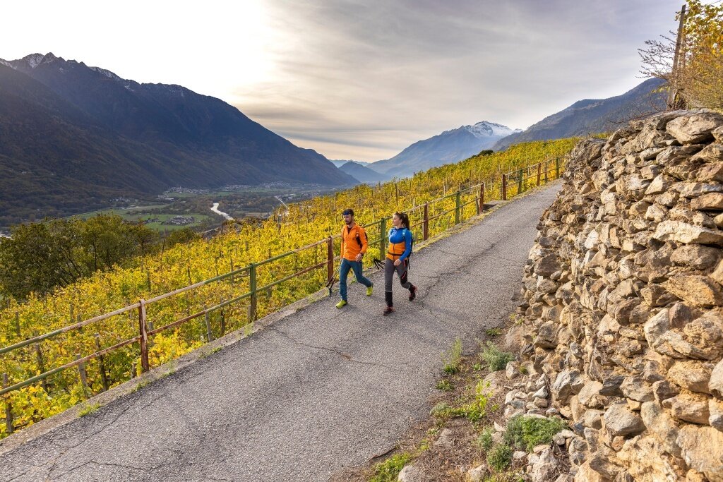 Img2 600218293 Default Variant