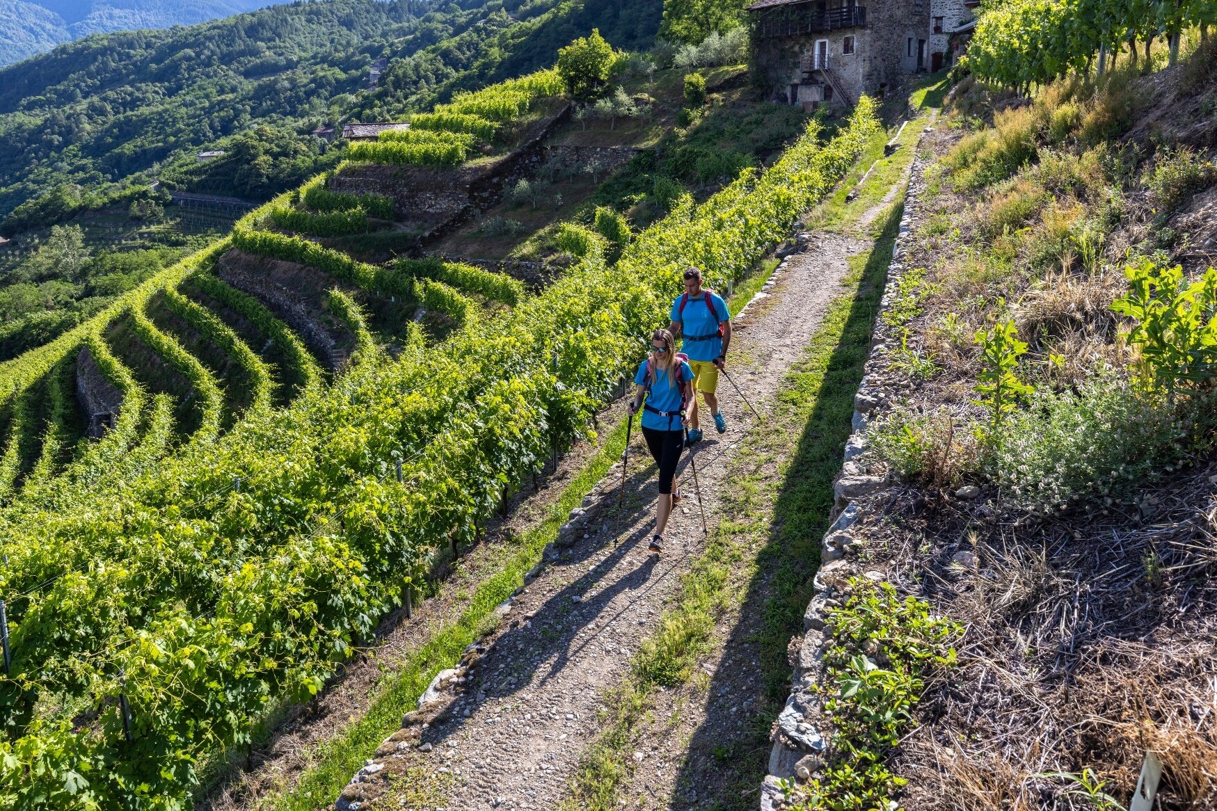 Img2 600218466 Default Variant