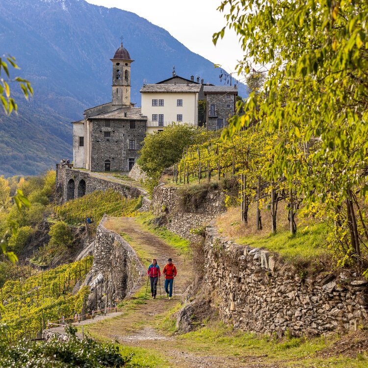 Via Dei Terrazzamenti
