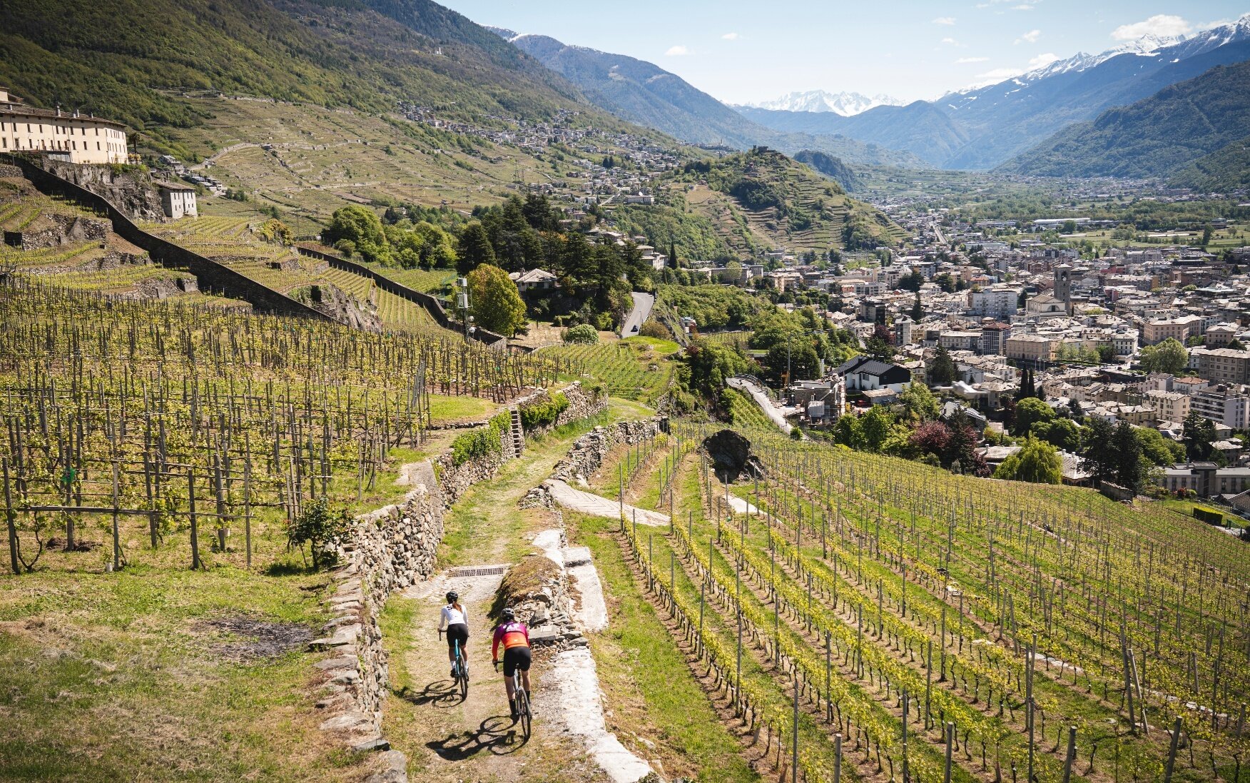 Img2 611963175 Default Variant