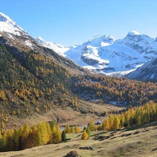 Img2 96364422 Default Variant