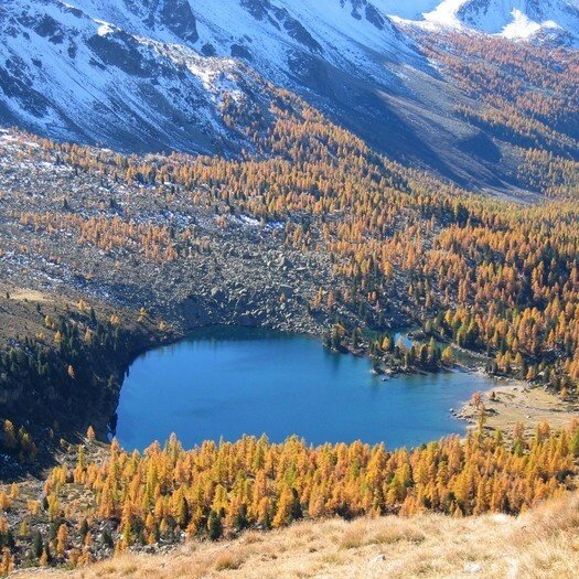 Img2 96364428 Default Variant