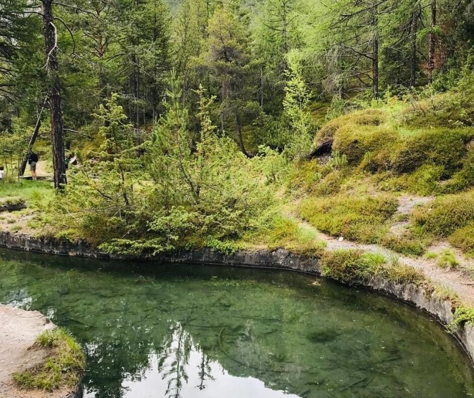 Img2 96364446 Default Variant