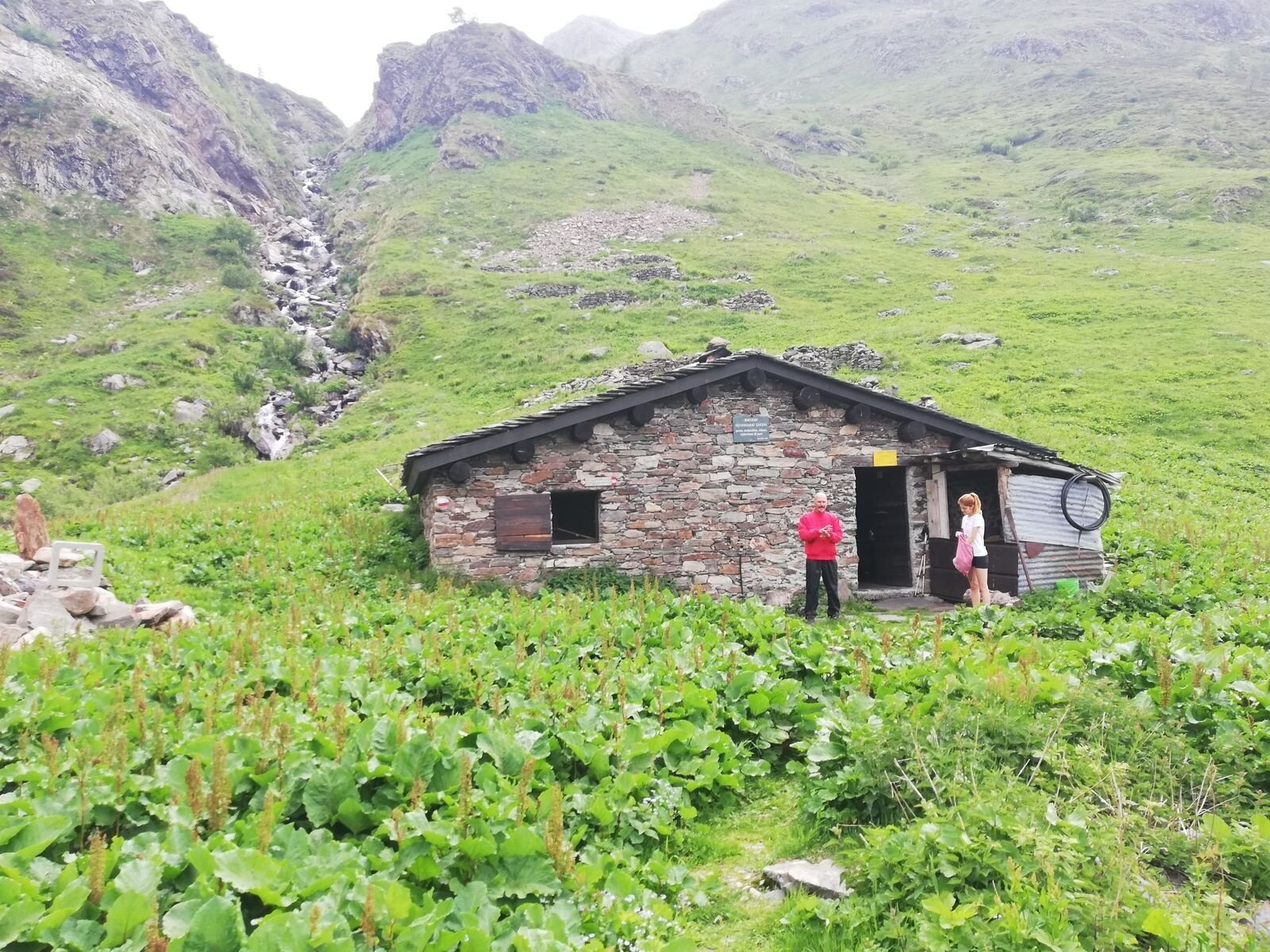 Img2 96364084 Default Variant