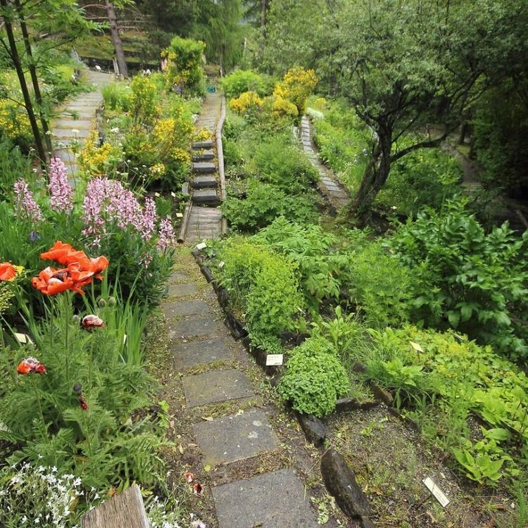 Giardino-Botanico