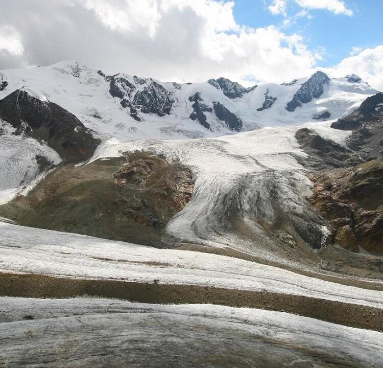 Glaciologico