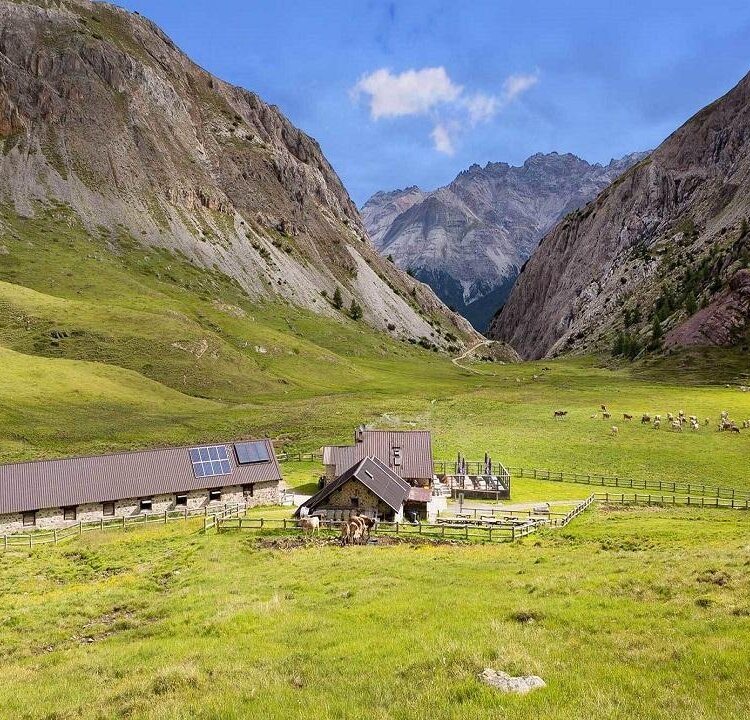 Agriturismo Malga Trela
