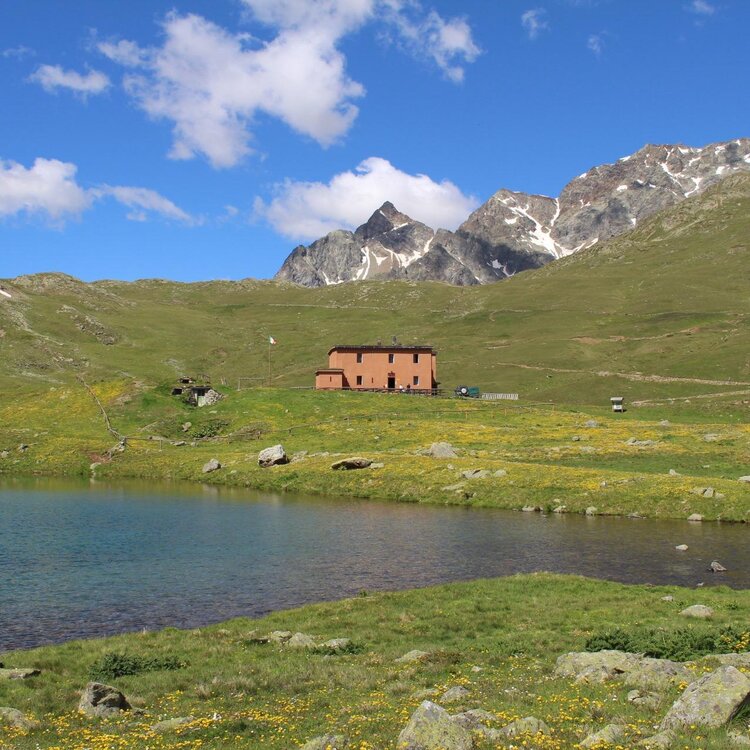 Rifugio Viola