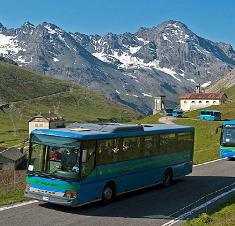 Bus di linea Passo Stelvio (A081)
