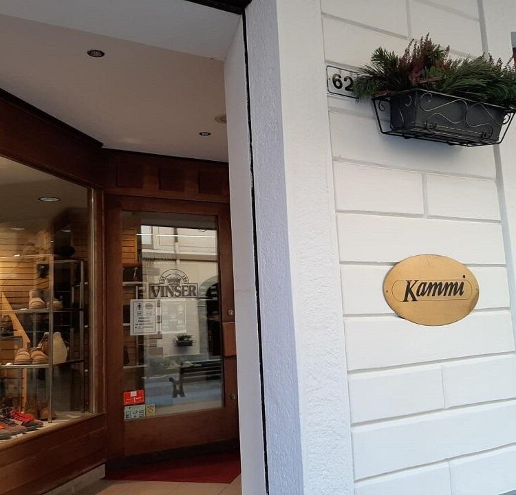 Kammi-Vinser-ingresso