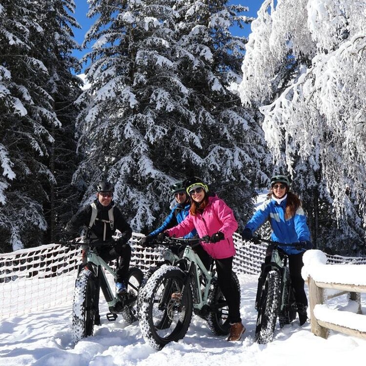 fat-bike