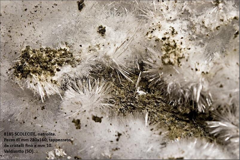 Museo_mineralogico_5