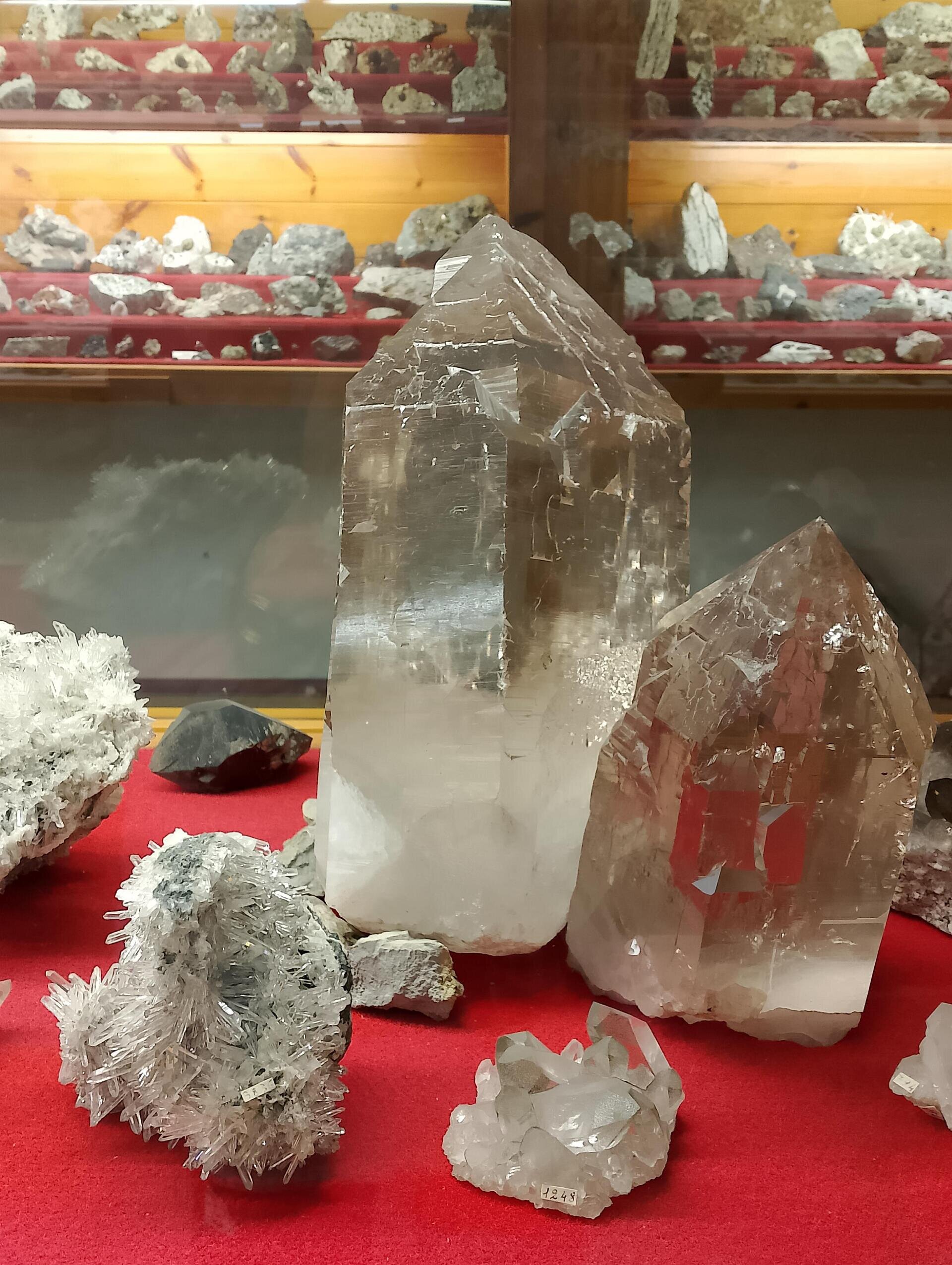 Museo_mineralogico_6