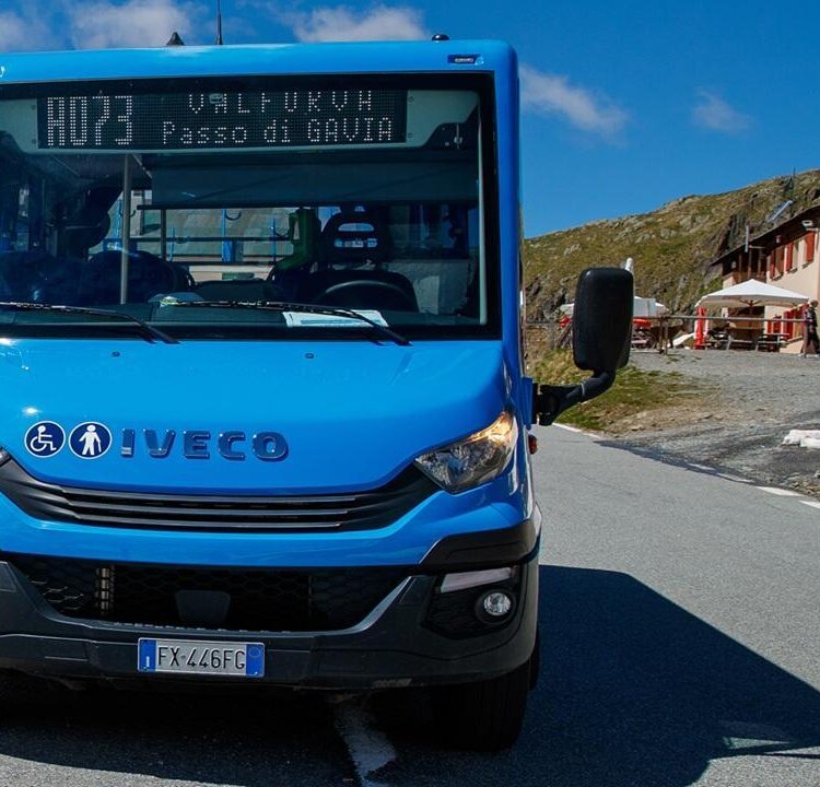 gavia-express